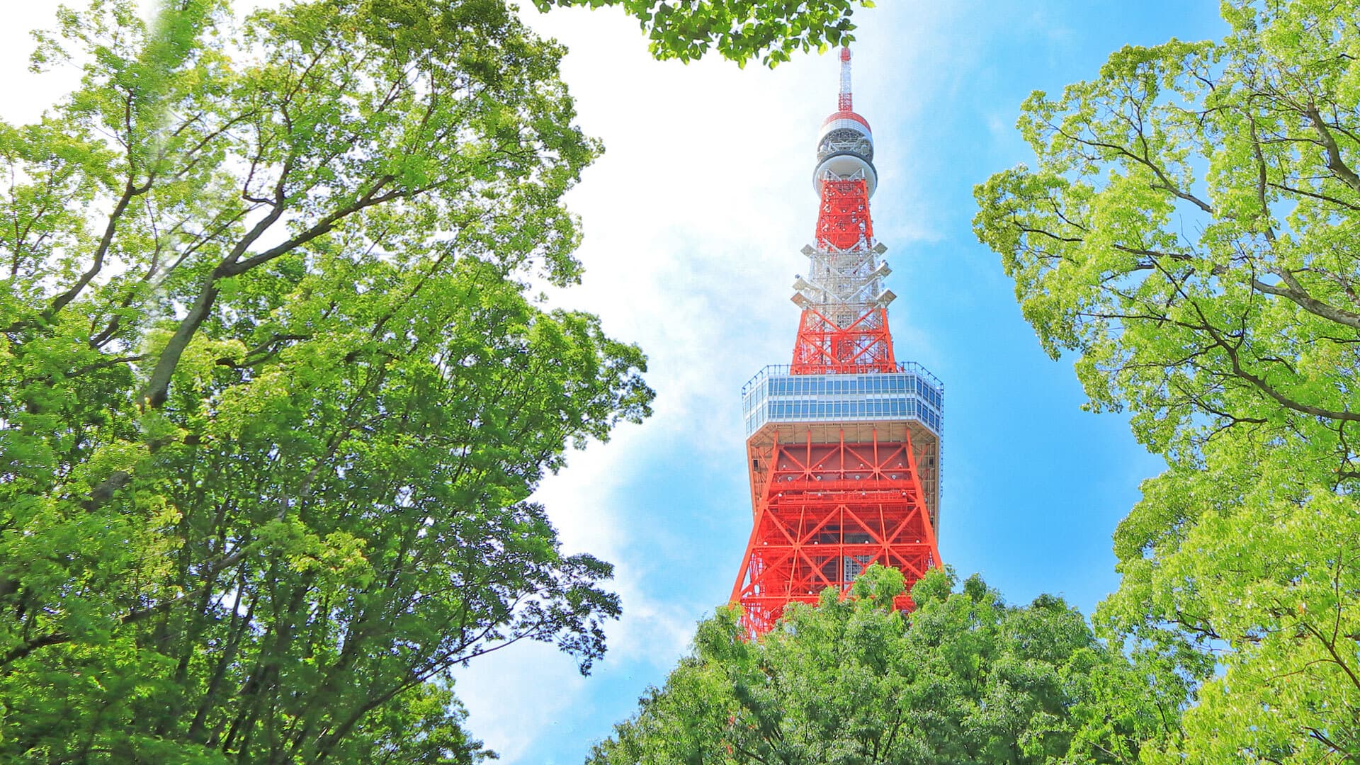 Explore Japan as a Local